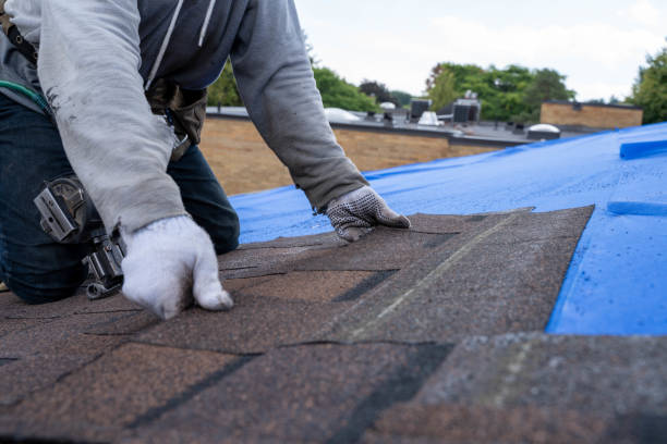 Best Roof Leak Repair  in Laurel, VA
